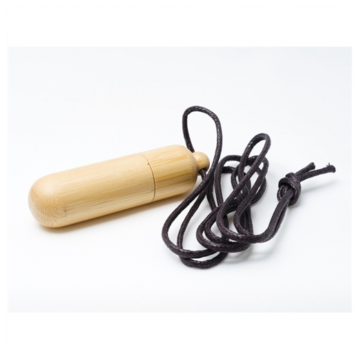 USB KLJUČEK MARUTNIK